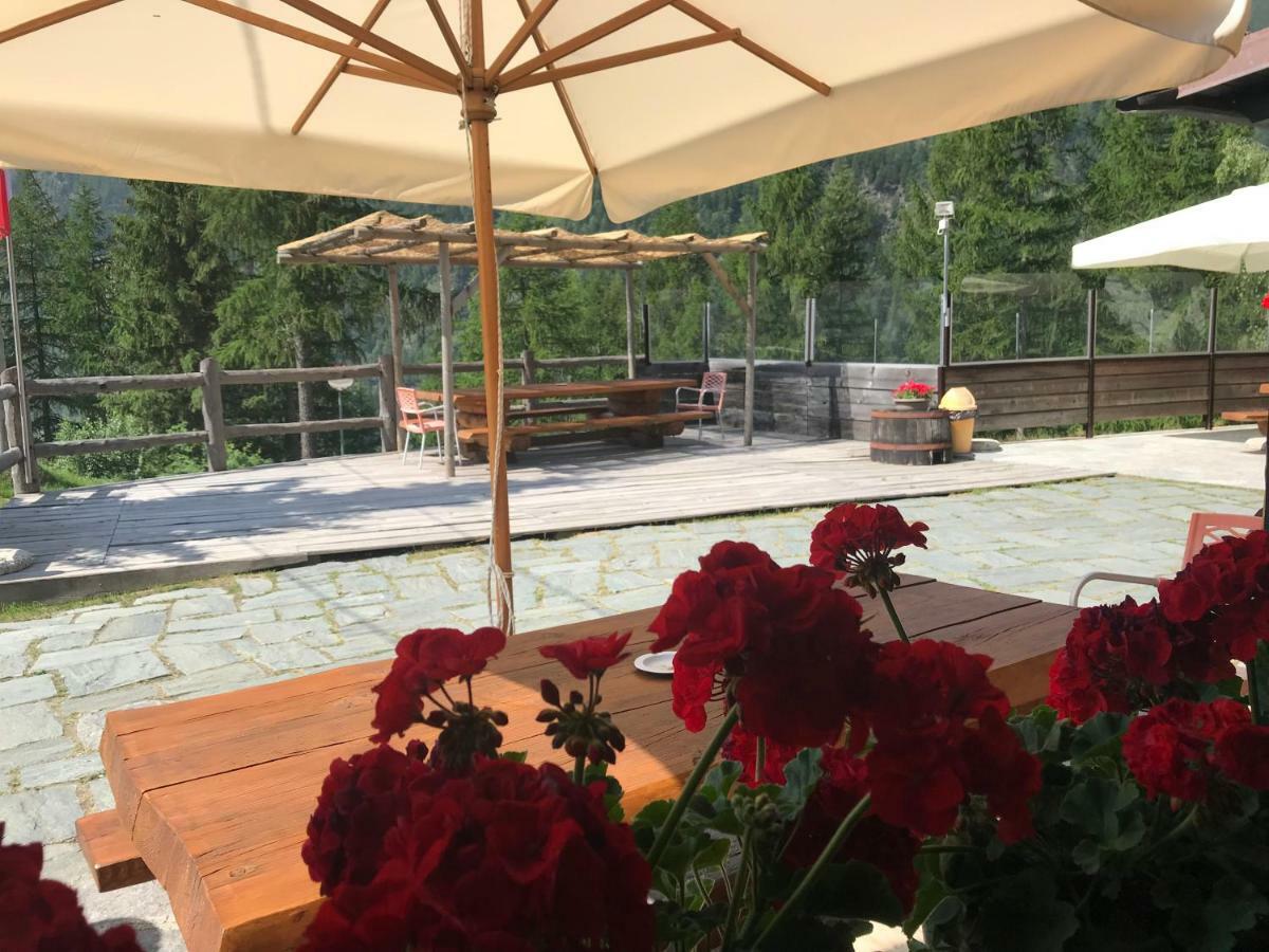 Hotel Sasso Nero Chiesa in Valmalenco Exteriér fotografie